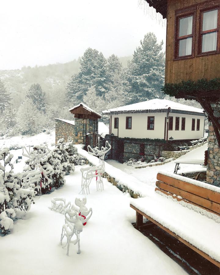 Macedonian Village Hotel & Resort Скоп'є Екстер'єр фото